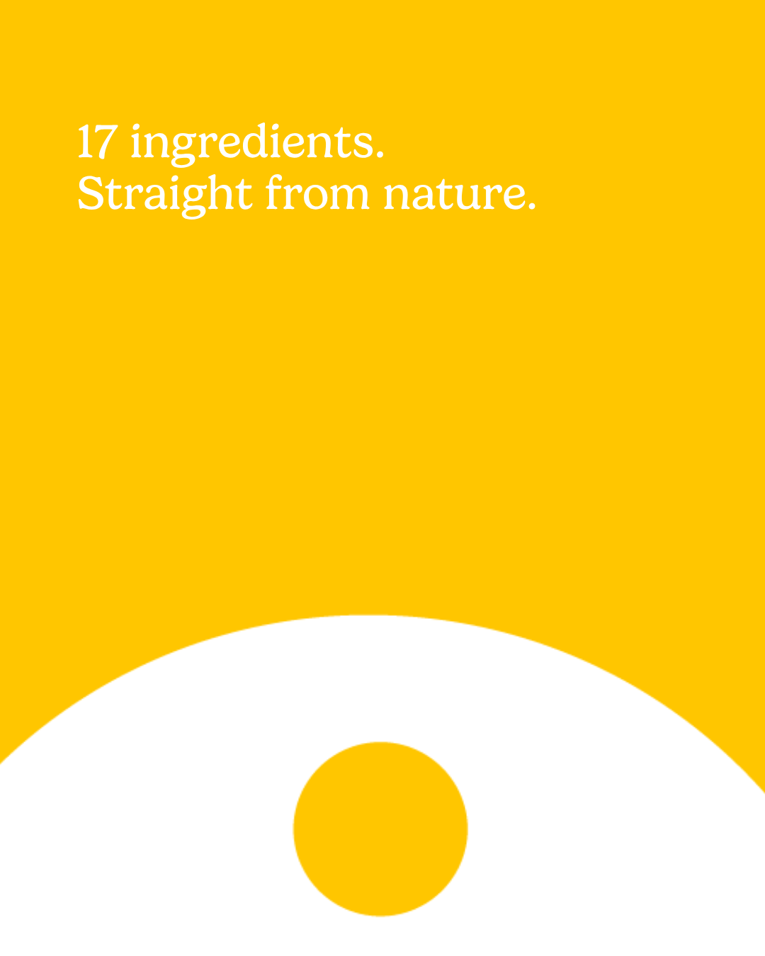 17 Ingredients